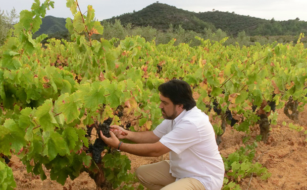 Jaume Giral