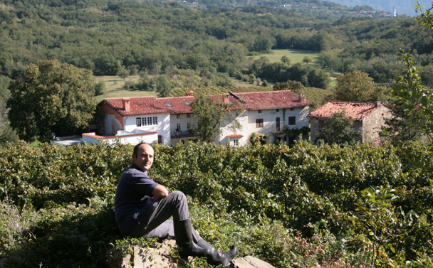 Matjaz Lemut